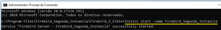 Firebird_Start_service.PNG